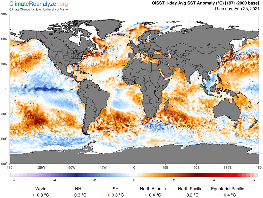 gfs world ced sstanom 1 day — Postimages