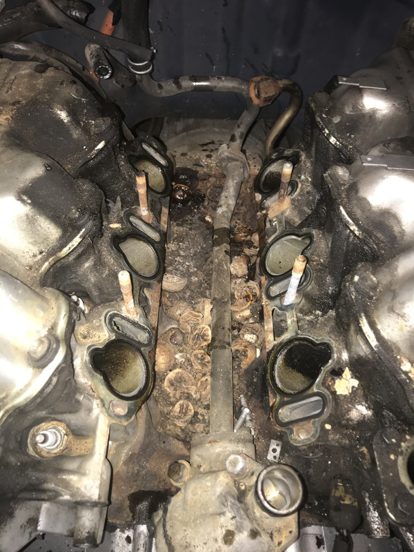 4FD20362-1AA8-4060-B282-5ABF9F891E15