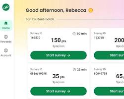 Survey Junkie platform