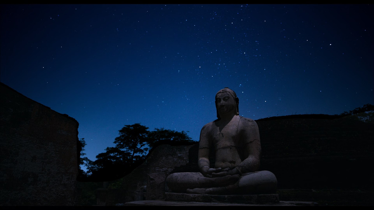 Monkey Kingdom (2015) (1080p BluRay x265 Silence)-7