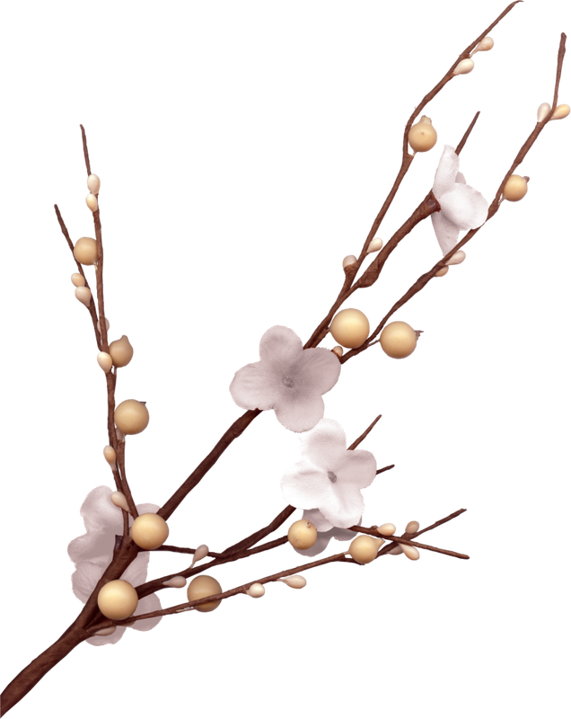 BIBI-PINK ANGEL ELEMS (7)