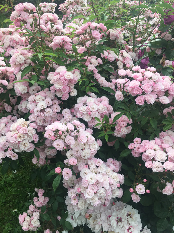 F7DE32CE-7F9E-45D6-B3C2-E5E060380E70