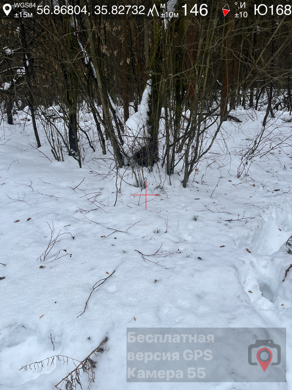 05марта26 11 08 s