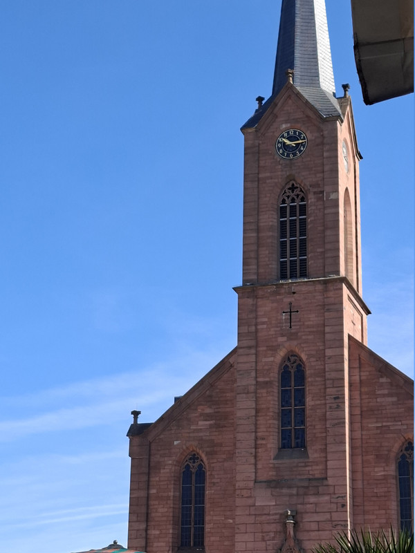 20260424-101559.jpg