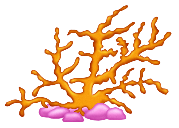 Elements (58)