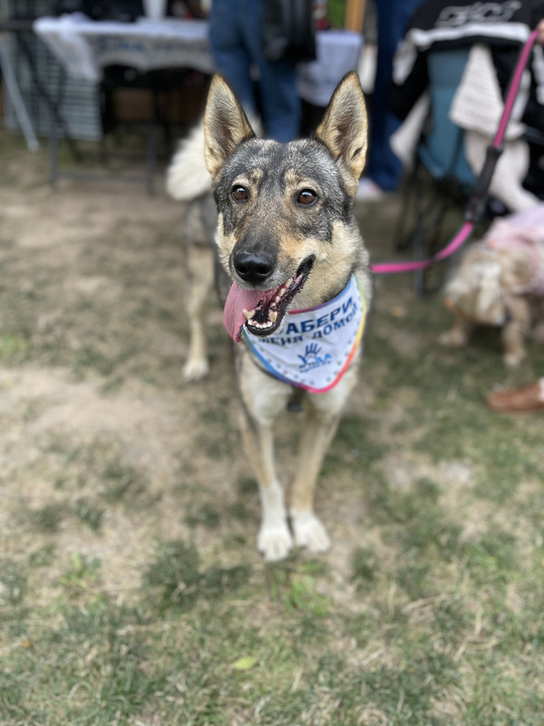 3D3875CD-5CC6-4247-8552-BE2CD6D35FD8