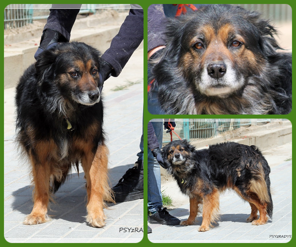 BeFunky-collage (16)