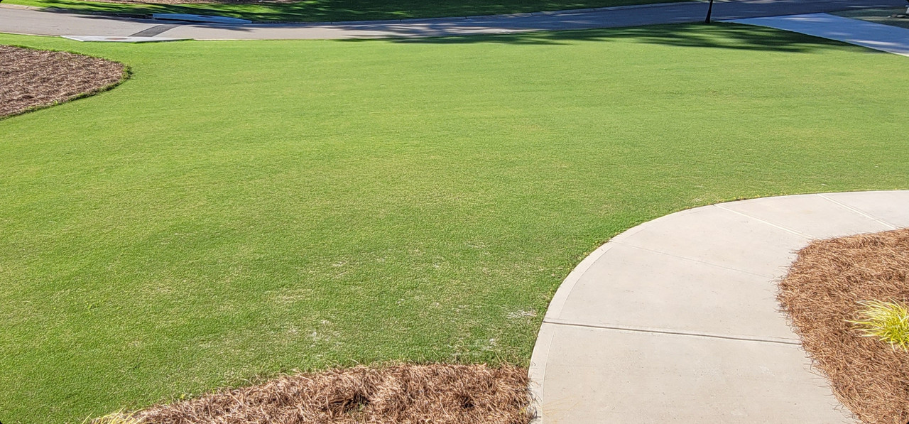 Screenshot_20210622-220056_Gallery