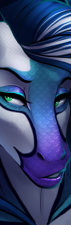 Gallery-5.png