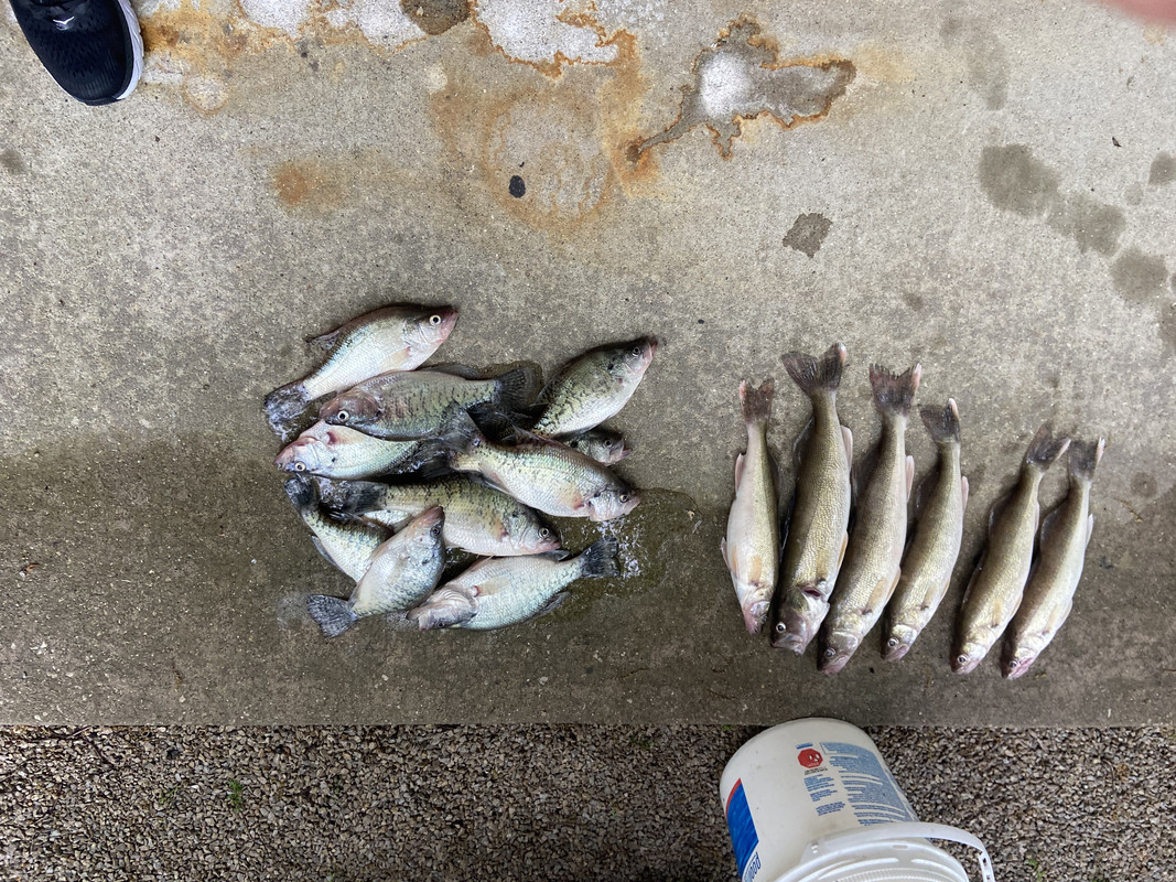 5D79E283-6980-4722-B245-FC0B86831579