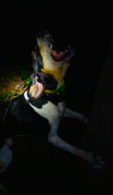 9299A5DD-679A-4052-B20F-B03B9DAB484F