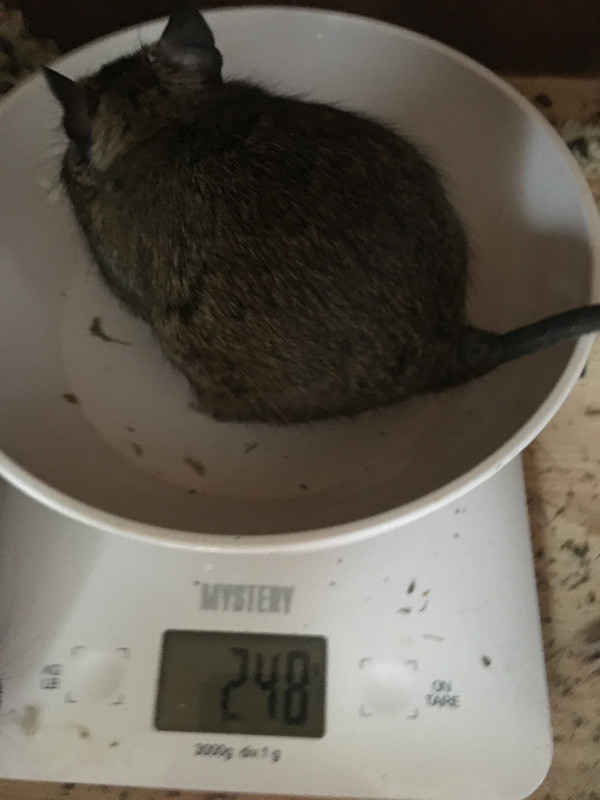 8ADAE78E-FD8B-4A76-978C-0B5C792F21C2