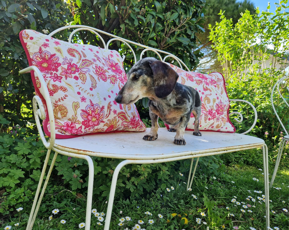 [Image: IMG-20240501-WA0034.jpg]