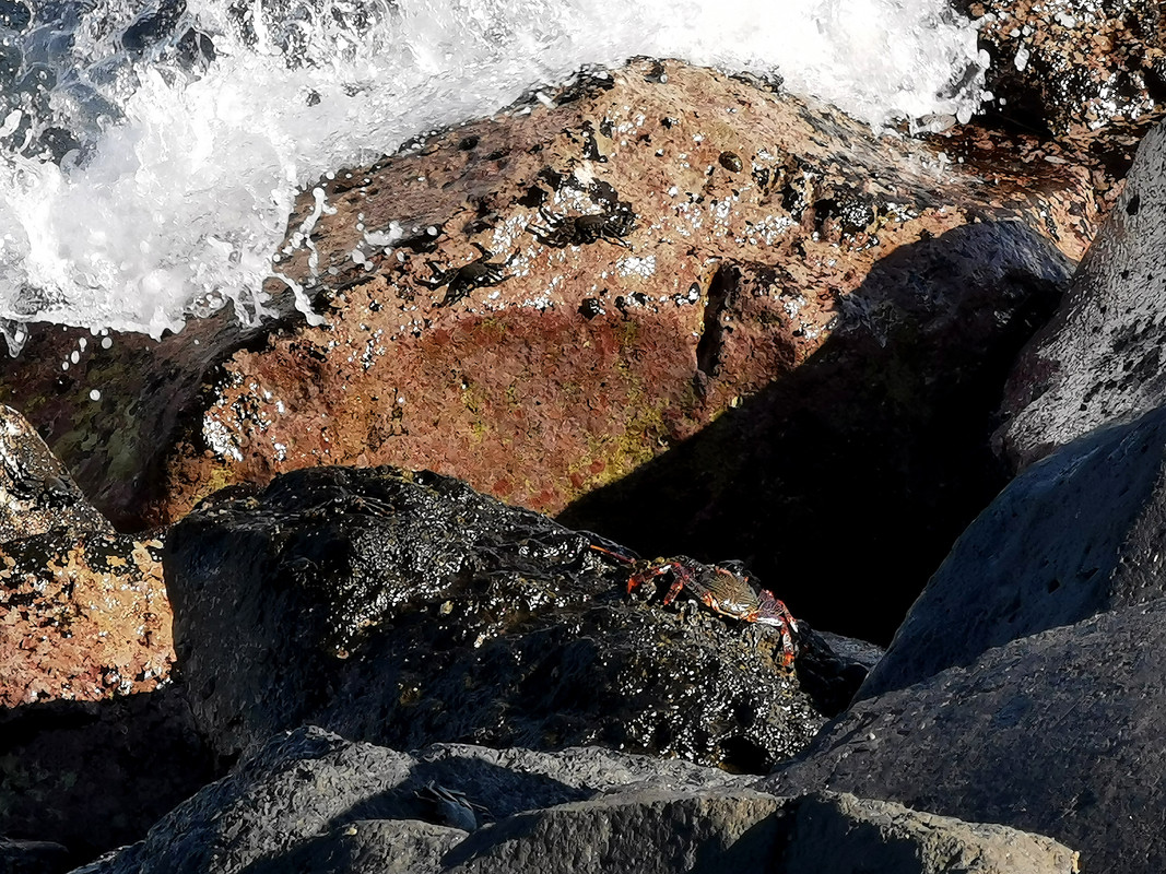 IMG_20240103_142417_edit_88608427448978