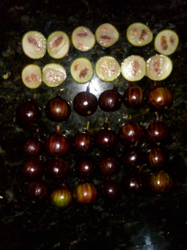 WhatsApp Image 2020-12-20 at 00.10.49 (23)