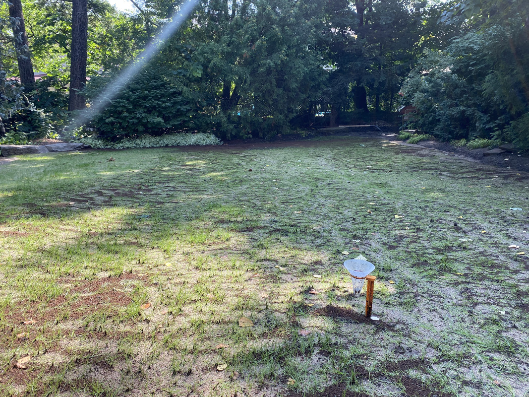 975E45DE-E5D3-462A-84D9-D53DA8B46321