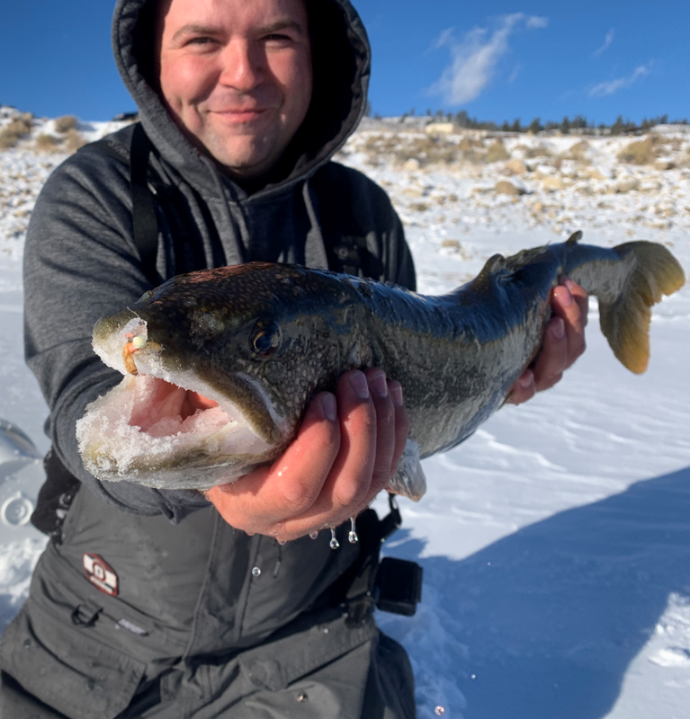 31 Incher 2