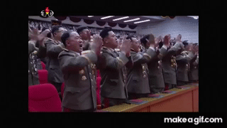 IMG-0545.gif