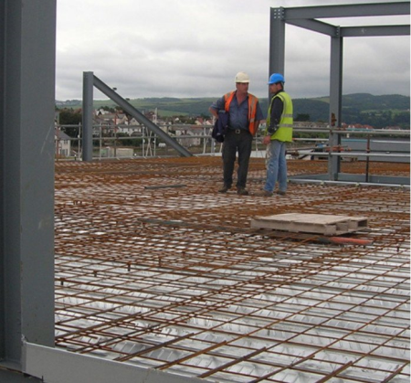 Oasys Compos 8.6.0.3