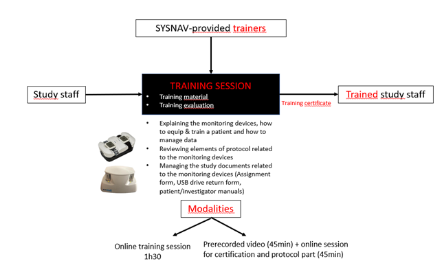 training process