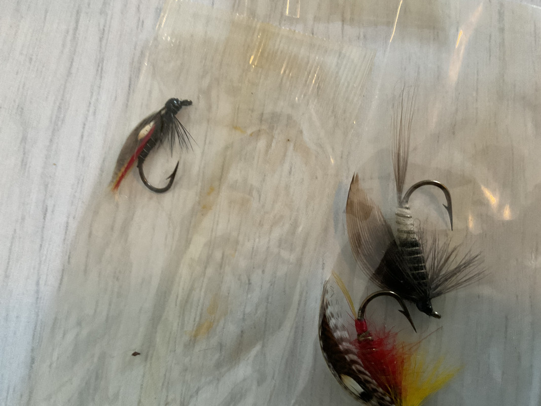 8CD1C508-D906-4F89-9CE8-0D8BB9D24282