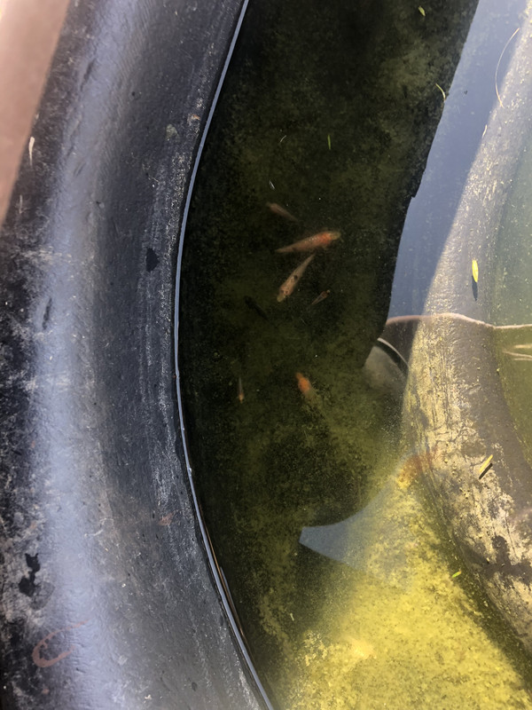 D0862FE0-7184-454E-97F3-18E5A21B1E30