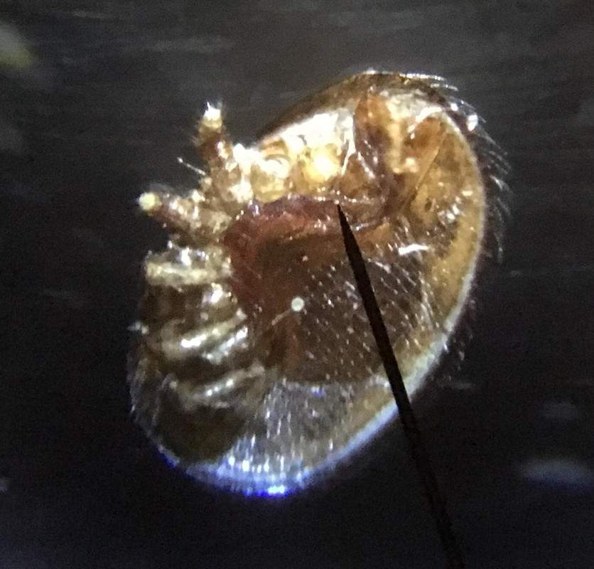 75EAB620-C76F-4A68-97BF-9C0FEF4994B7