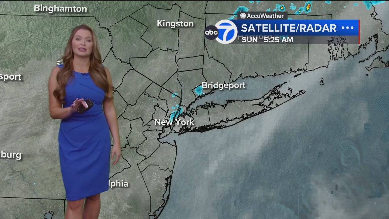 Eyewitness News Sunday Morning_20240526_11001230.ts_snapshot_01.02.58.440