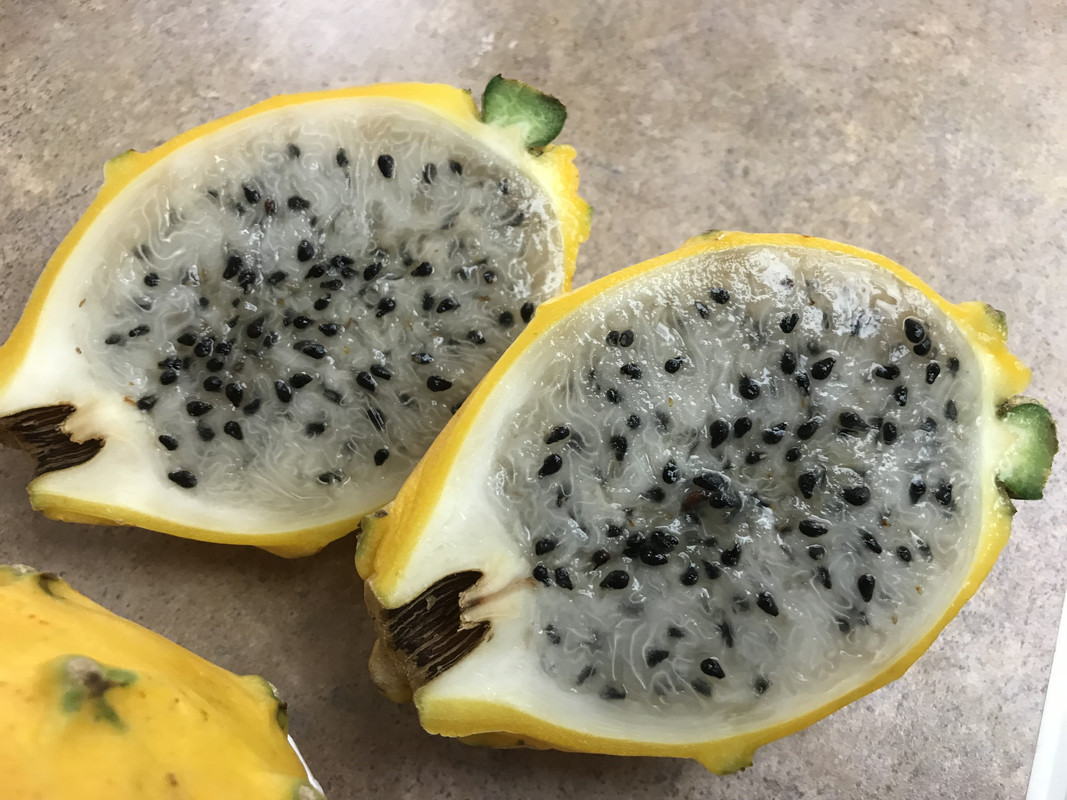 A9C0F923-C906-4E3A-939E-04EF4B525256