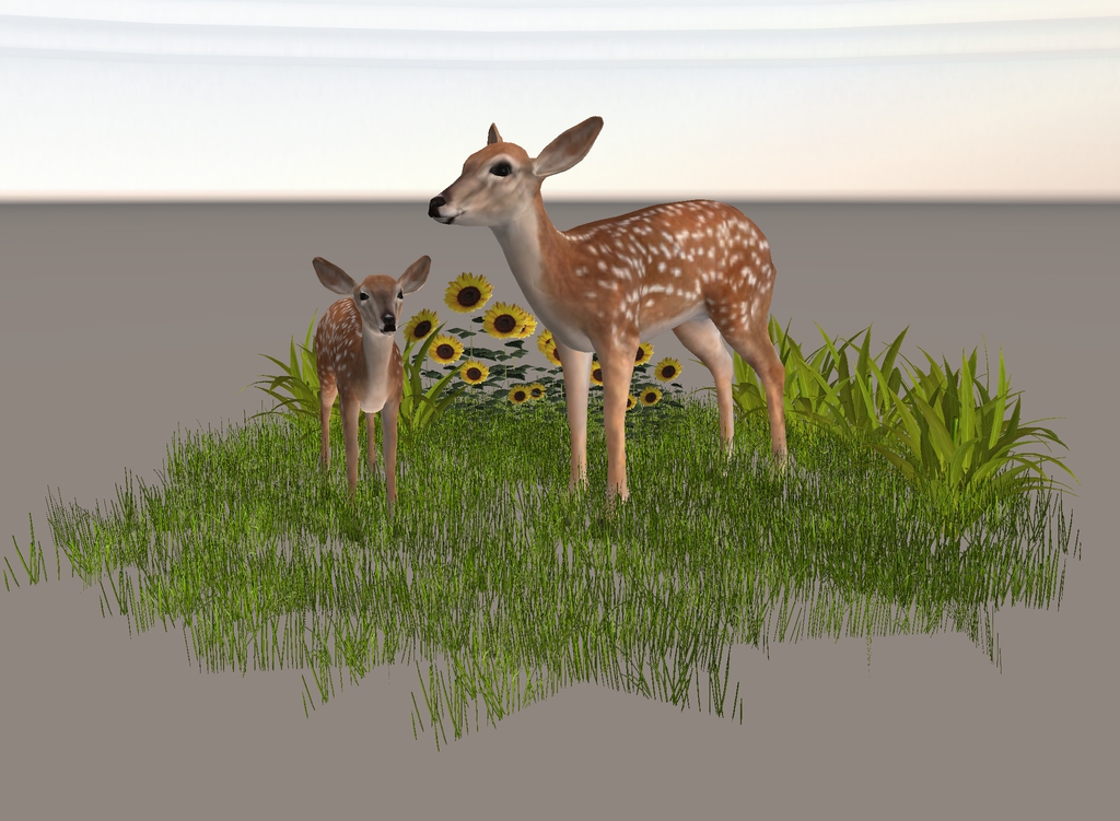 deer-grass