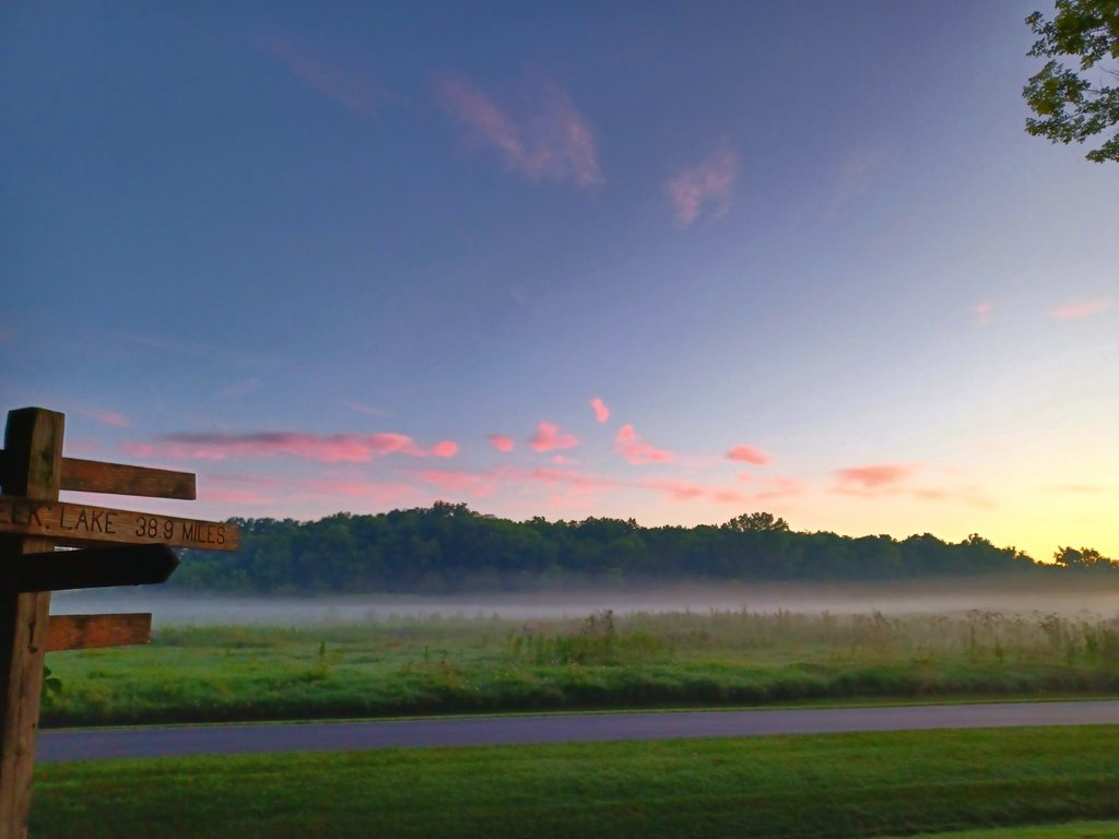 External inline image provided by member with no explanatory text