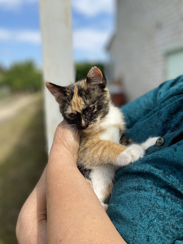 9FC75FC4-0902-45FA-BE67-0F9F867B6078