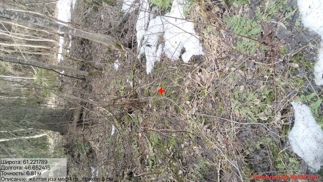 IMG 20260408 110108 929