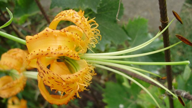 P3040026
