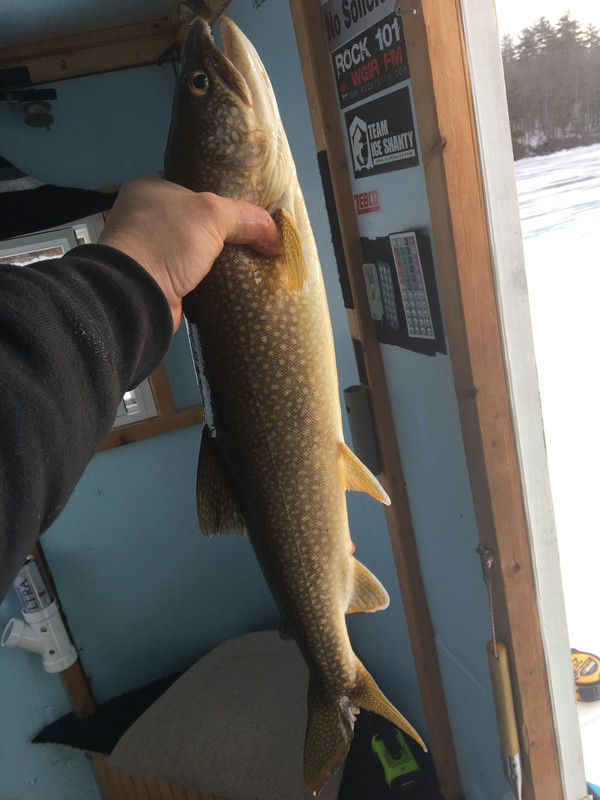 6D6FE7BA-81A7-49F0-A438-99753DA55D65