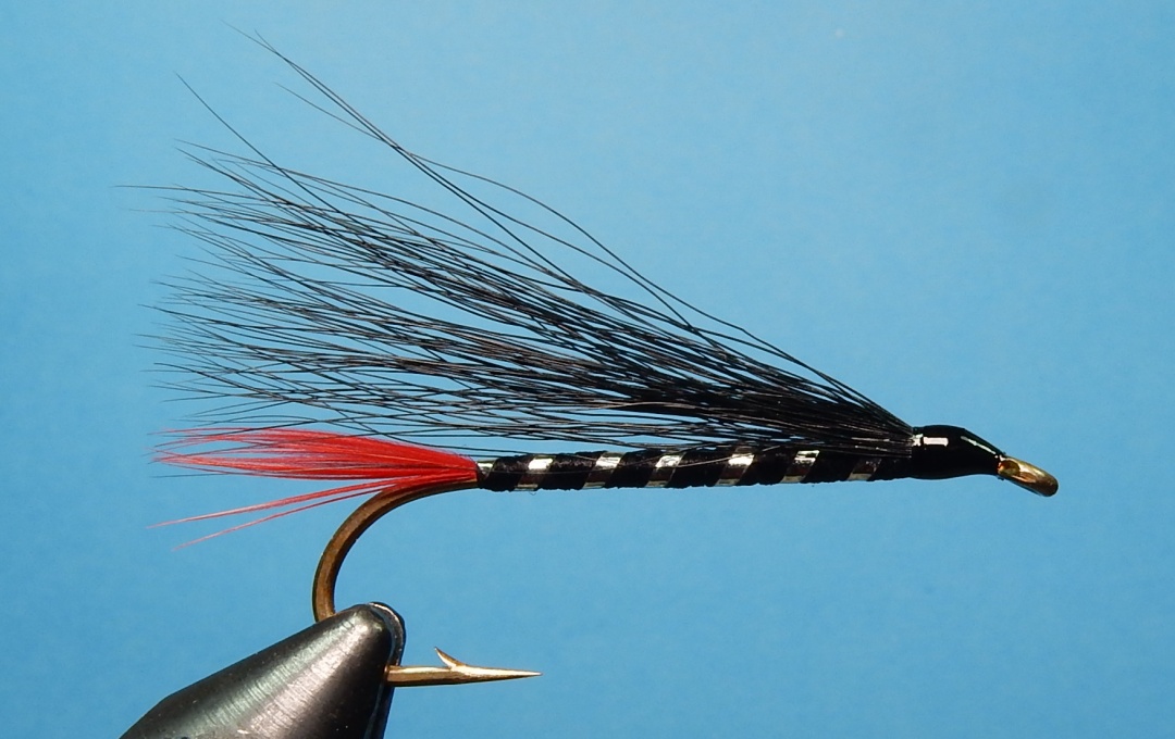 Scotch-Buck-1080.jpg Scotch-Buck-1080.jpg