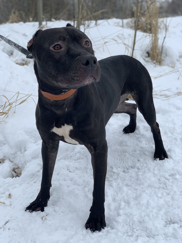 F1ECC899-56E9-413C-9EF1-BF745C11EDE4