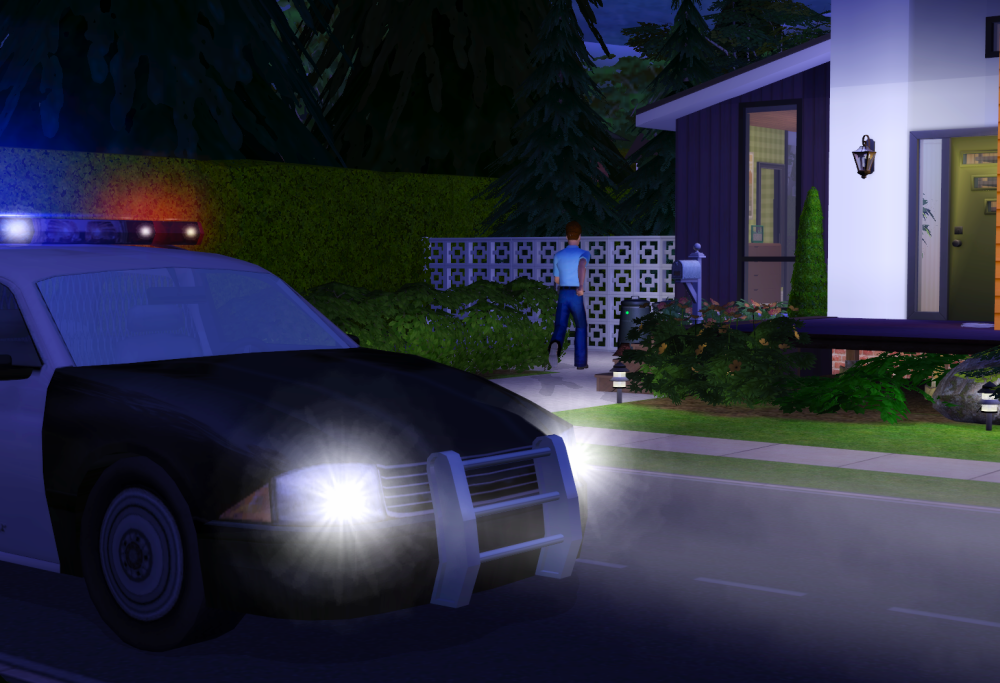 Sims2-EP9-RPC-2021-08-08-11-52-49-42