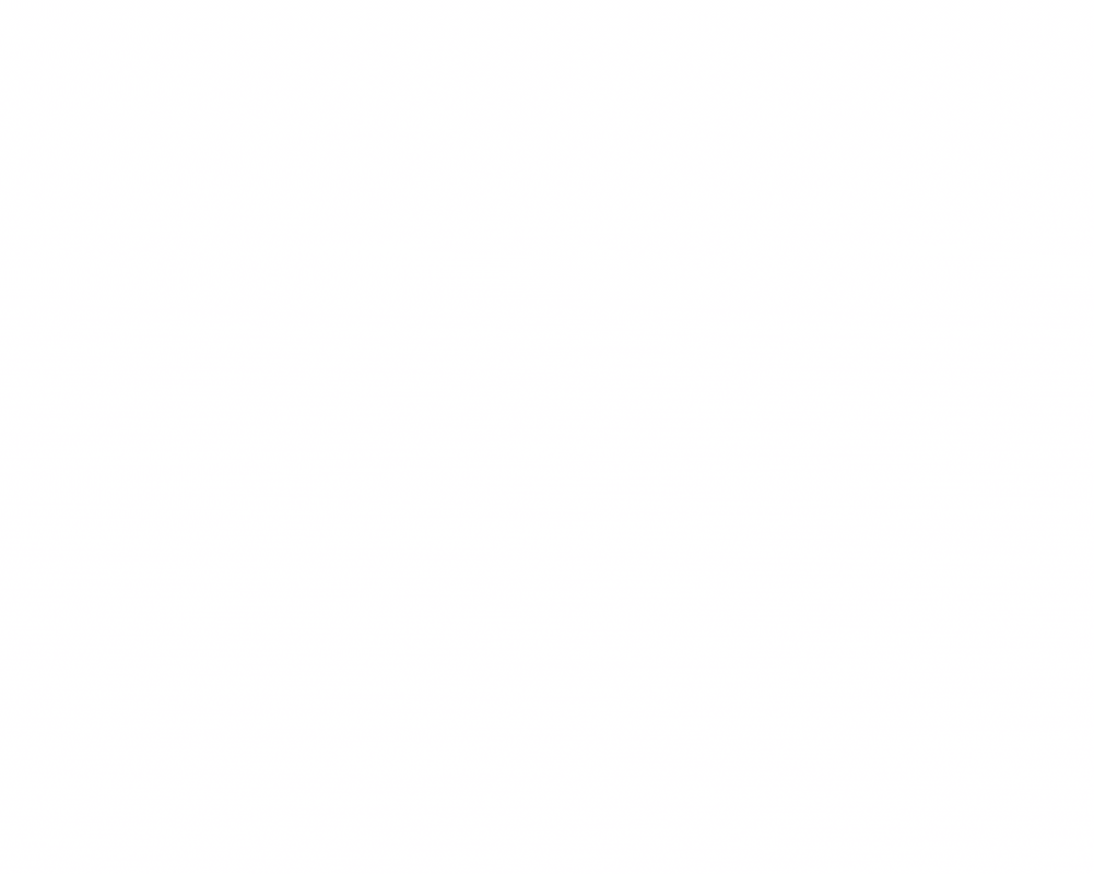 SSRP-1.gif
