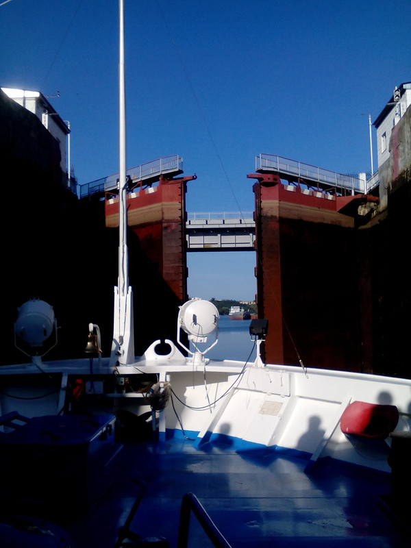 1535172603574-1645139219