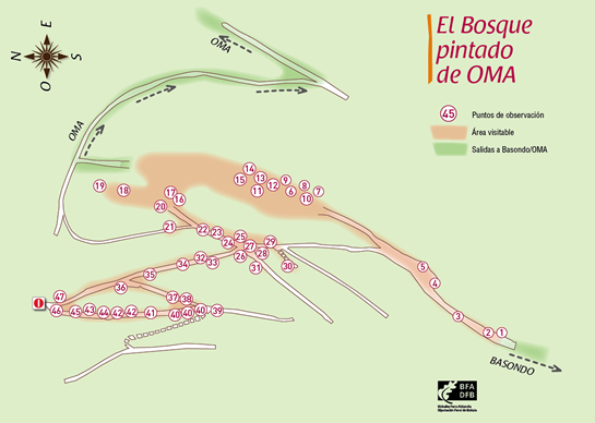 Vizcaya y sus pueblos-2011/2020 - Blogs de España - EL BOSQUE DE OMA-3-9-2020 (1)
