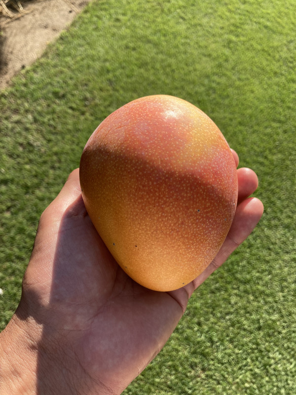 4687B72C-E9E2-4560-A3CE-44DF1D0ECE01