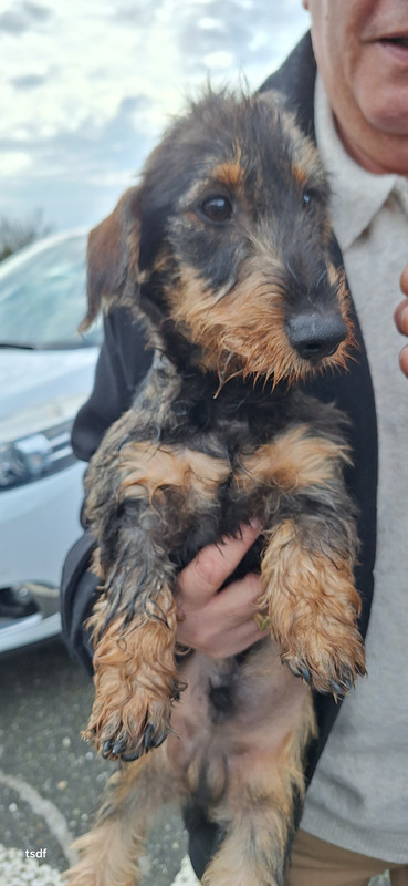 [Image: 20250220-142902.jpg]