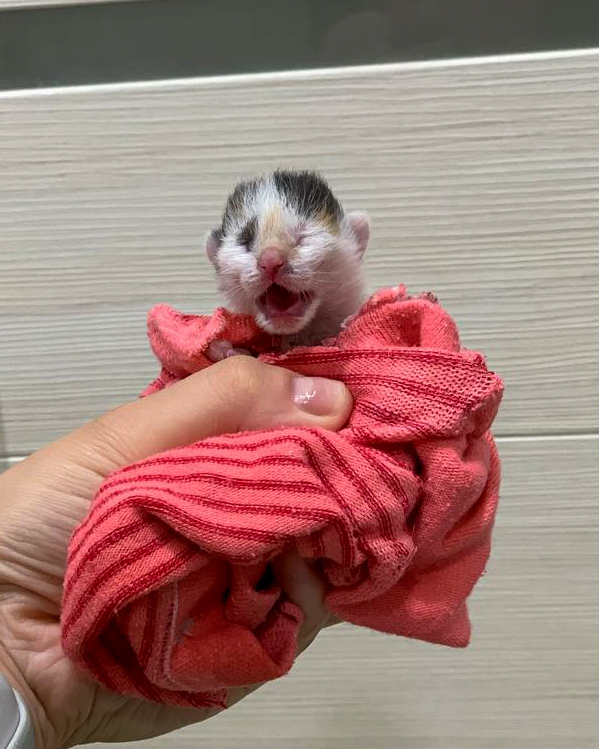 E442519B-1158-44E3-8503-618ED9246D53