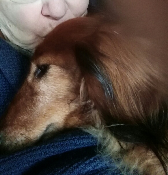 [Image: 20210102-073405.jpg]