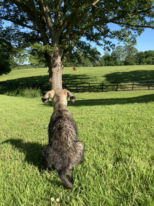 78831722-FE68-4AF5-A247-A6FC23F1D230_1_105_c