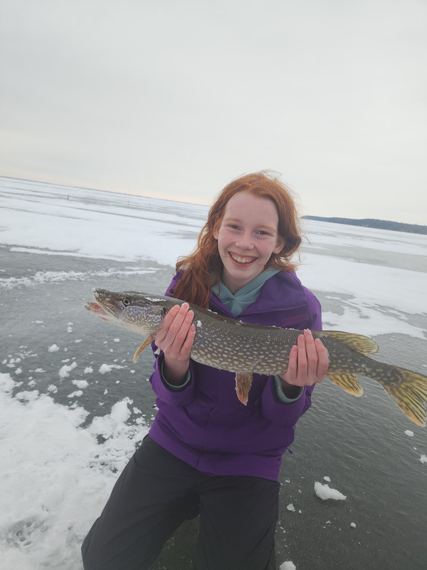 4caabbe0-42b3-43f0-bbfb-7c1d9cdf8cde