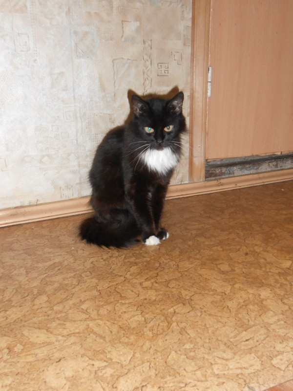 dmOfctHHuGemK4iXNVTTZ49FIlB