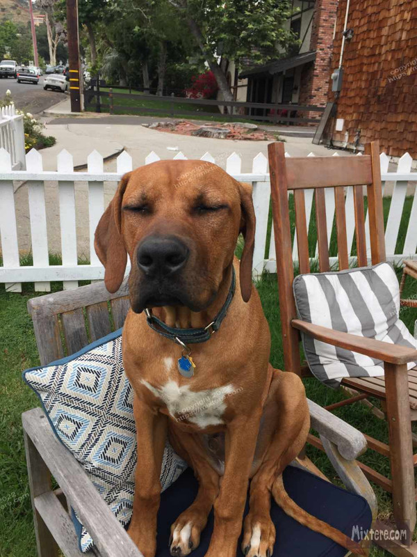 BBG&B2ItAllStartedWhenPics - 7