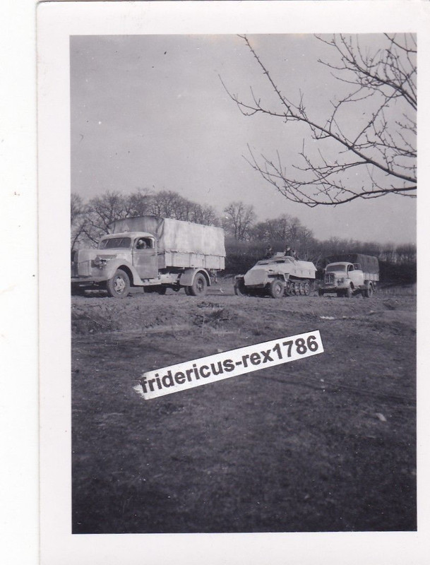 Foto elit e Schützenpanzerwagen Sd.Kfz. 251 mit LKW im Herbst 19